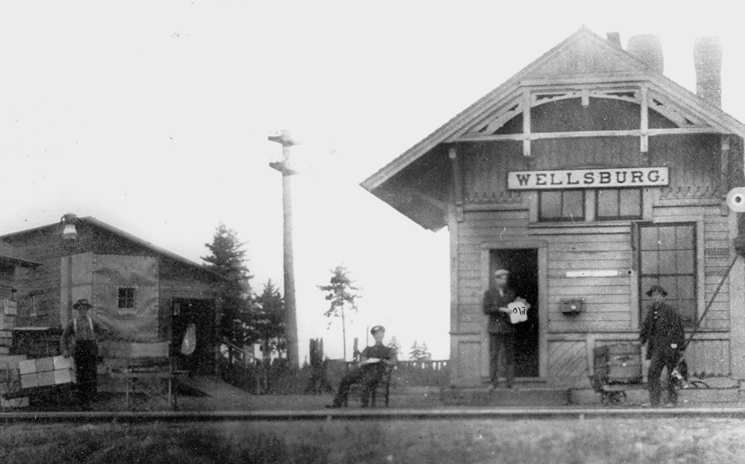 Wellsburg MI Depot